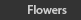 Flower photographs